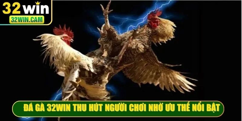 Đá gà 32WIN thu hút người chơi nhờ những ưu thế nổi bật